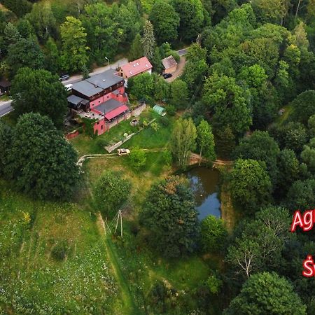 Agroturystyka Pod Swierkiem Srebrna Góra エクステリア 写真